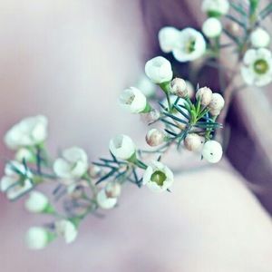 Meet your Posher, Jaycee